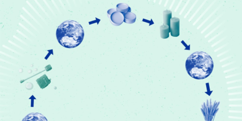 El Consejo Europeo respalda la Estrategia de Bioeconomía para el uso de soluciones de base biológica