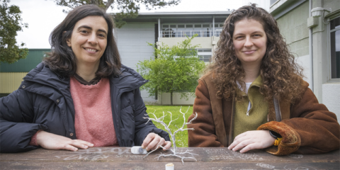 La EHU desarrolla baterías recargables de biomasa con hasta 1.000 ciclos de carga y descarga