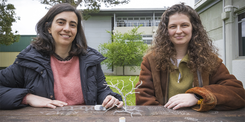 Desarrollan baterías recargables a partir de biomasa que soportan hasta 1.000 ciclos de carga y descarga