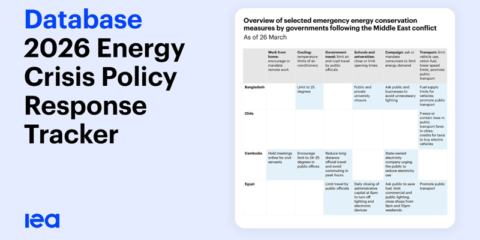 Nueva herramienta de la IEA para monitorizar medidas de ahorro de energía y apoyo a consumidores