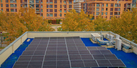 En marcha un programa de formación sobre la comunidad energética Rivas Renovable