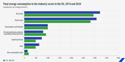 El consumo final de energía en el sector industrial de la UE disminuye en 2024, según Eurostat