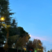 La sustitución e instalación de casi 8.000 luminarias en el municipio de Majadahonda sale a licitación
