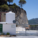 Inaugurado un centro de tratamiento de restos forestales para impulsar la biomasa en la Sierra de las Nieves