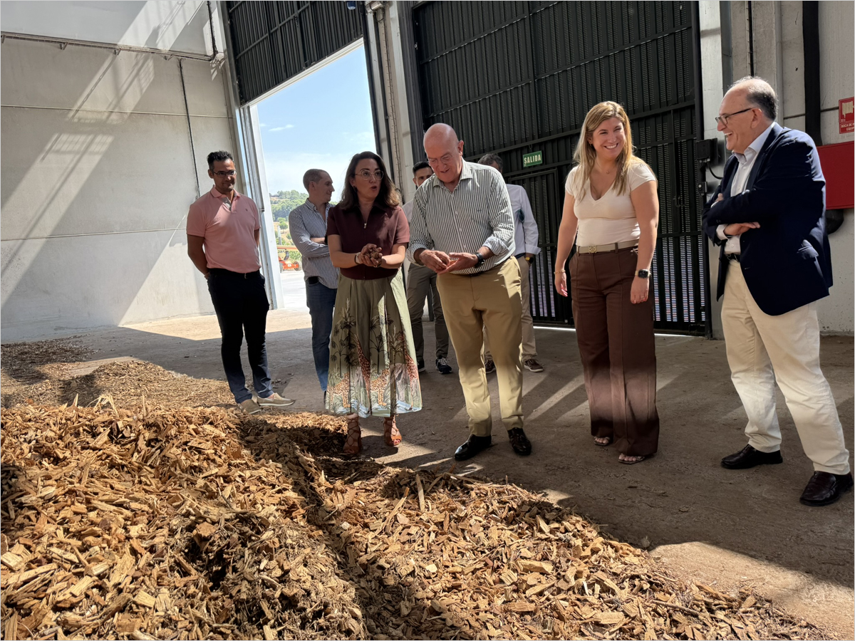 Finalizan las obras de la red principal de distribución de la red de calor sostenible Valladolid Oeste en Parquesol