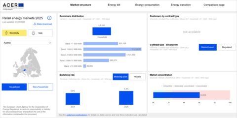 Las facturas energéticas continúan elevadas y los contratos fijos predominan en la UE, según ACER