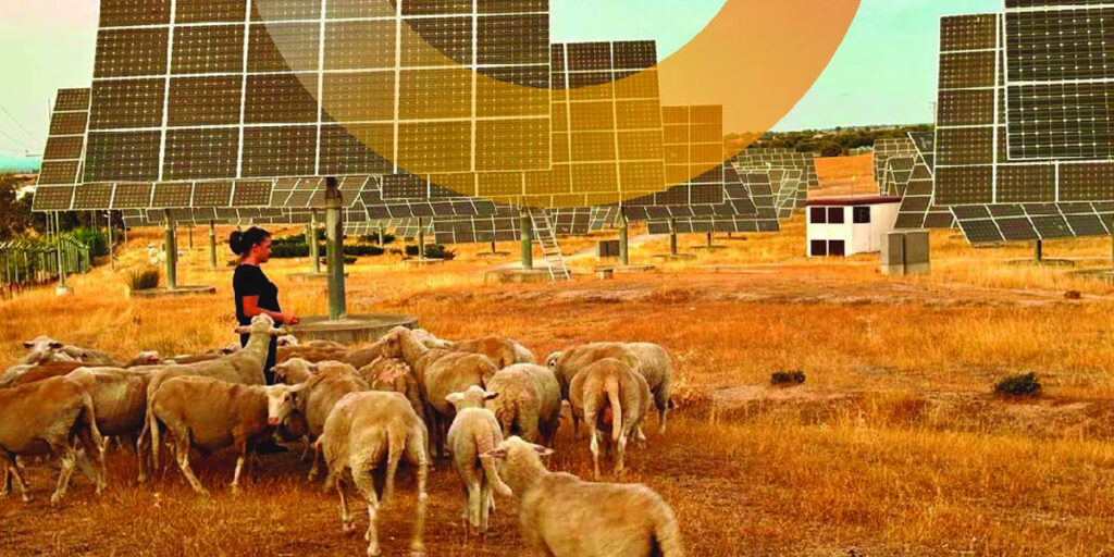 El autoconsumo fotovoltaico suma 1.139 MW en 2025 y se consolida como motor de desarrollo para la industria