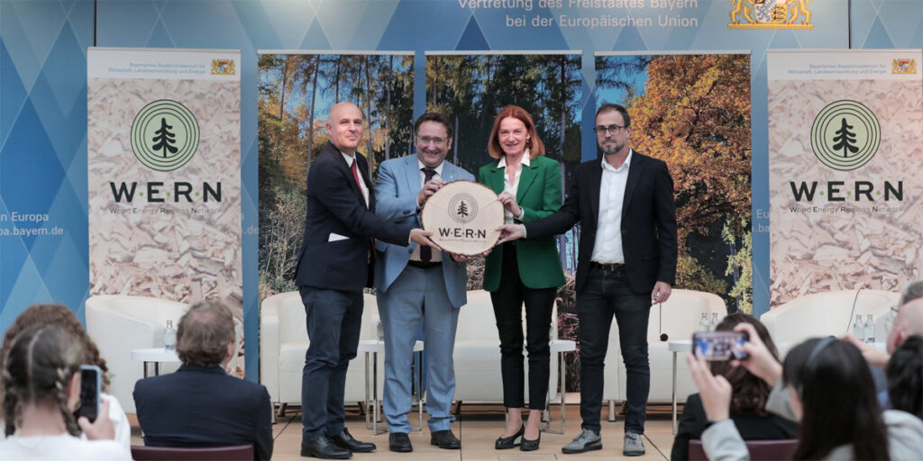 Nace la Wood Energy Regions Network para impulsar la bioenergía forestal en Europa